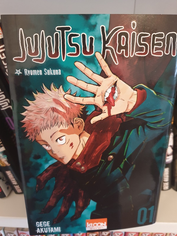 Jujutsu Kaisen: critique et avis du Tome 1 du manga